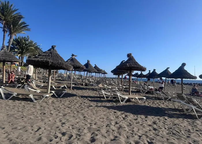 Americas Tropical Nights